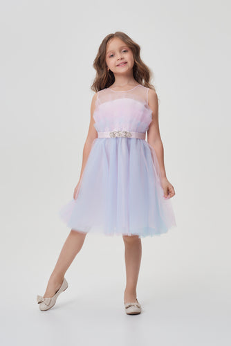 Ombre Tulle Dress