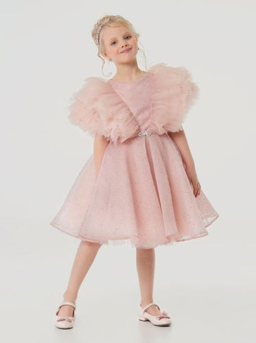Tulle Sleeves Puffy Dress