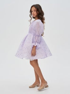 Bell Sleeves Organza Doted Dress