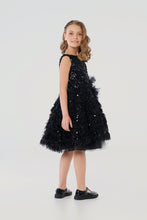 Load image into Gallery viewer, &quot;Black Swan&quot; Fluffy Dress