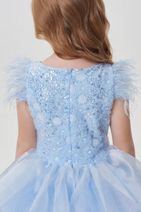 Sequins and Feathers Top Dress