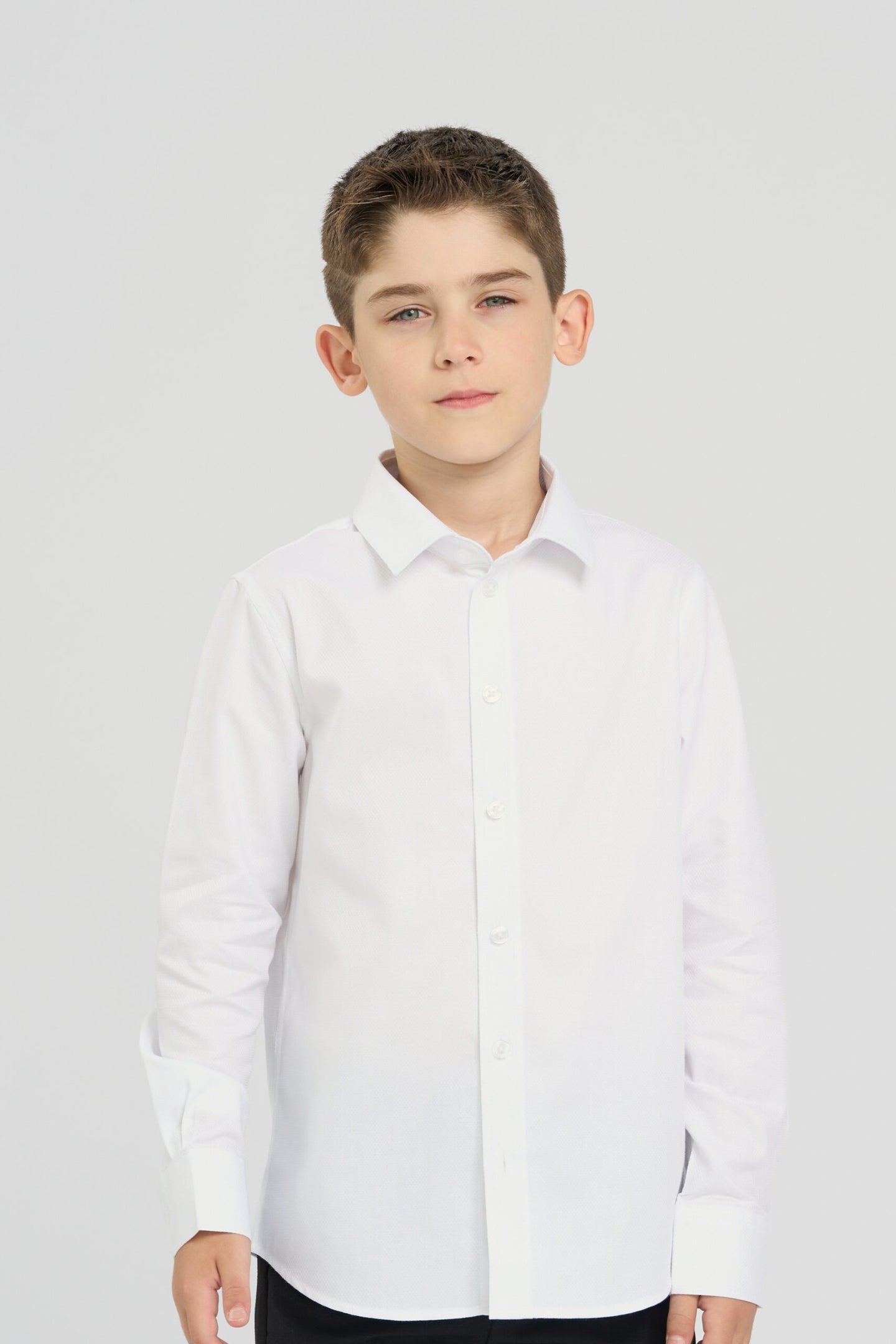 Dressy Classic Shirt