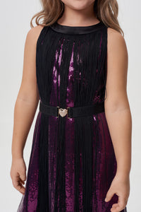 Fringe Decorated Dress