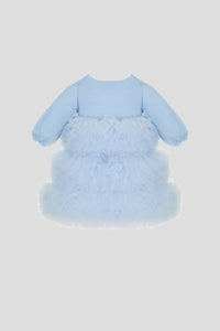 Rhinestone Butterfly Tulle Dress