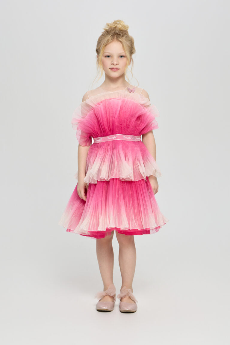 Ombre Organza Dress