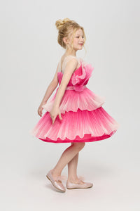 Ombre Organza Dress