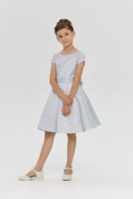 Load image into Gallery viewer, Sequins Brocade Dress