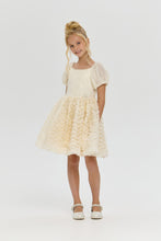 Load image into Gallery viewer, Sequined Top Dress