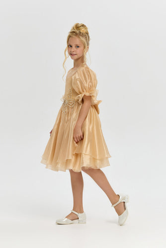 Butterfly Brooch Organza Dress