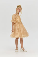 Load image into Gallery viewer, Butterfly Brooch Organza Dress