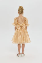 Load image into Gallery viewer, Butterfly Brooch Organza Dress
