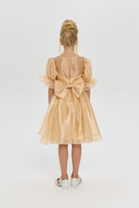 Butterfly Brooch Organza Dress
