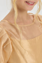 Load image into Gallery viewer, Butterfly Brooch Organza Dress