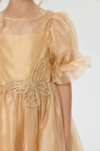 Butterfly Brooch Organza Dress