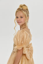 Load image into Gallery viewer, Butterfly Brooch Organza Dress