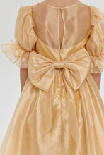 Load image into Gallery viewer, Butterfly Brooch Organza Dress