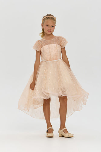 Beaded Lace High-Low Dress
