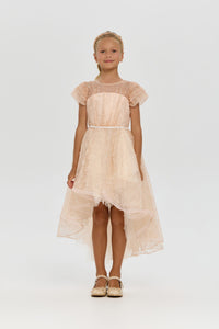 Beaded Lace High-Low Dress