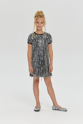 Sequins Drop Dress