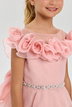 Load image into Gallery viewer, Rosette Collar Organza Dress