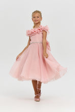 Load image into Gallery viewer, Rosette Collar Organza Dress