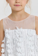 Cargar imagen en el visor de la galería, Fringe Sequins A-Line Dress