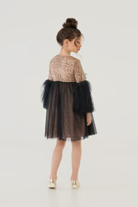 Combined Sequins Top Tulle Dress