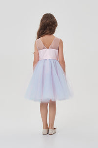 Ombre Tulle Dress