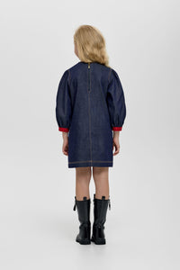Ruffle Decor Denim Dress