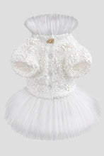 Load image into Gallery viewer, Pet sequins dress