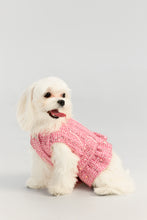 Load image into Gallery viewer, Tweed pet jacket