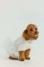 Load image into Gallery viewer, Pet sequins dress