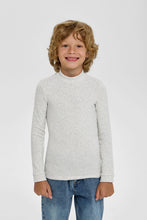 Load image into Gallery viewer, Basic Turtleneck, Light Grey