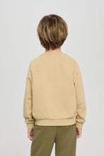 Load image into Gallery viewer, &quot;Dino&quot; Sweatshirt and Pants Set