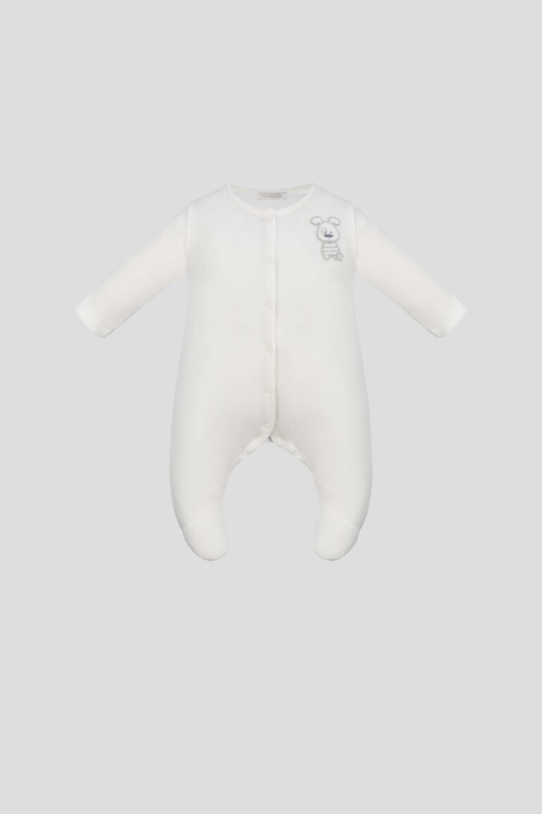 Puppy Decor Overall