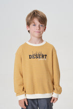 Load image into Gallery viewer, Stripe Sweatshirt