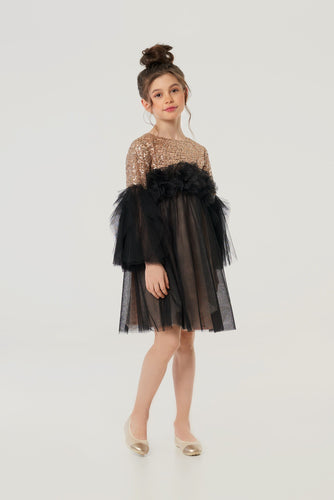 Combined Sequins Top Tulle Dress