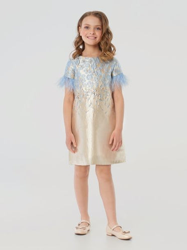 Feather Sleeves Brocade Dress