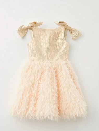 Brocade Top Fluffy Skirt Dress