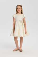 Cargar imagen en el visor de la galería, Butterfly Decor Brocade Dress