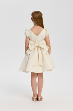 Cargar imagen en el visor de la galería, Butterfly Decor Brocade Dress