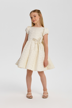 Cargar imagen en el visor de la galería, Butterfly Decor Brocade Dress