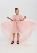 Load image into Gallery viewer, Ruffled Sleeves Tulle High-Low Dress