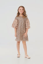 Load image into Gallery viewer, Fringe Sleeves Sequins Dress