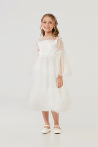 Wide Tulle Sleeves Dress