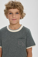 Load image into Gallery viewer, T-shirt for boys, grey