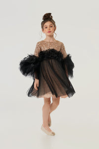 Combined Sequins Top Tulle Dress
