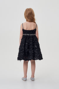 3D Lace and Sequins Dress