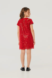 Pearl and Sequins Dress
