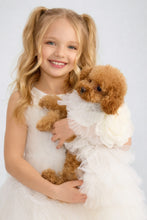 Cargar imagen en el visor de la galería, Fluffy pet dress